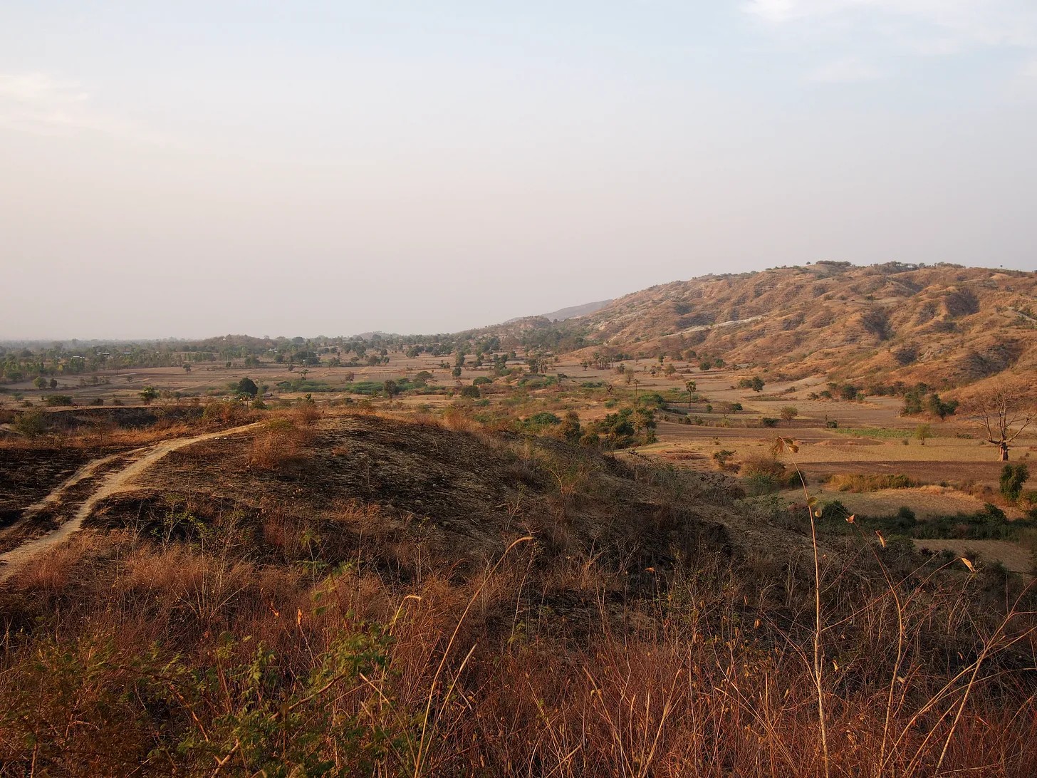 Una vista della faglia di Sagaing, a nord di Sagaing, Myanmar, nell'area della rottura causata dal terremoto di magnitudo Mw 7.7 del 28 marzo 2025. La traccia principale della faglia segue la base della cresta di Sagaing in alto a destra, passando attraverso una sella bassa in alto al centro. Foto di Kyle Bradley, 2016.